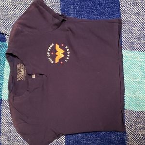 Wonder Woman crop top